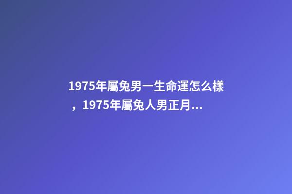 1975年屬兔男一生命運怎么樣，1975年屬兔人男正月初九生一生命運. 75年屬兔是什么命男，1975年屬兔人的命運-第1張-觀點-玄機派